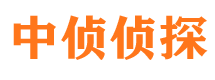 镇安寻人公司